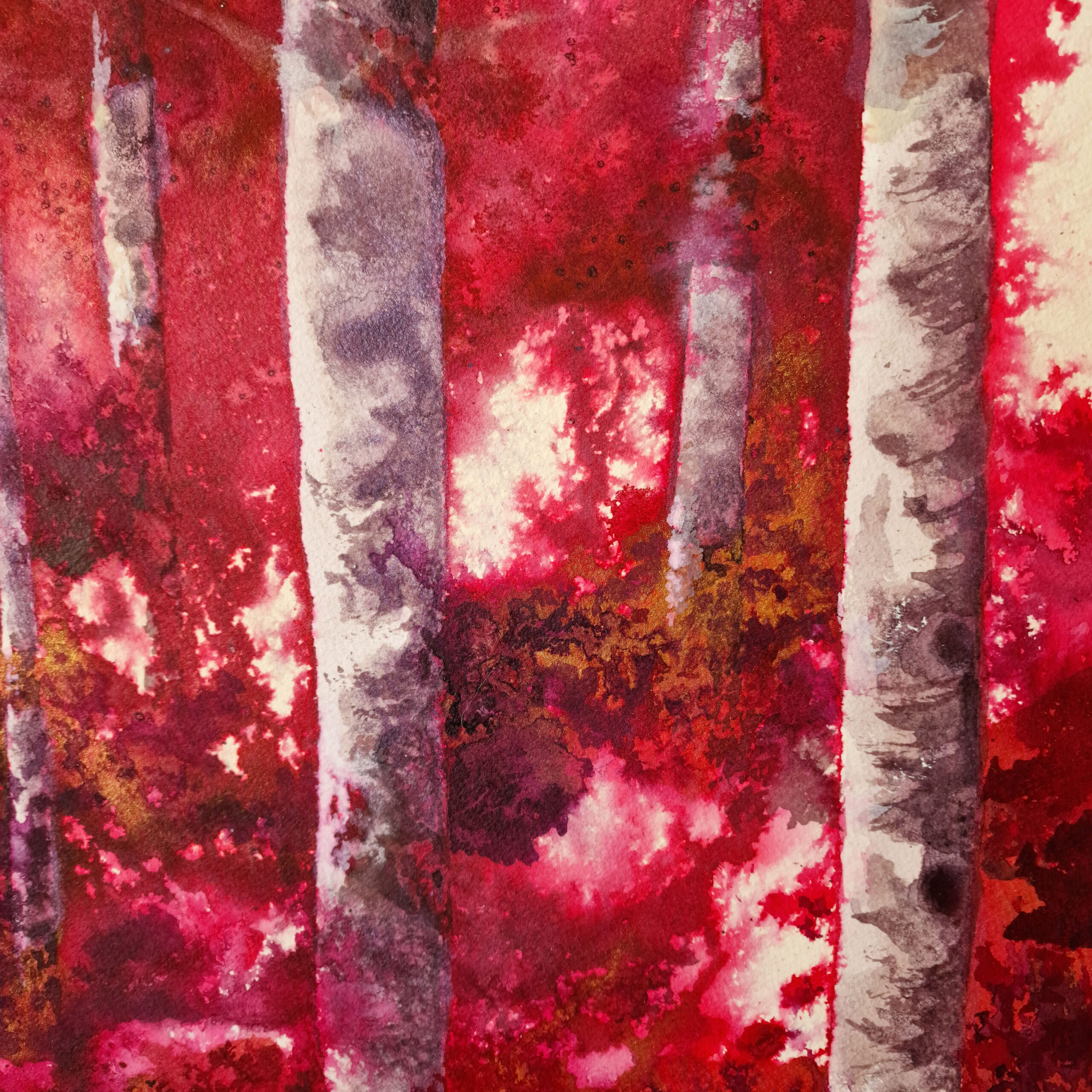 Red Forest - Imagen 4